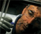 Corning Cable Systems