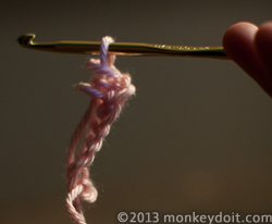 In the first chain, do a double crochet. Then, chain one onto the same chain and do another double crochet.