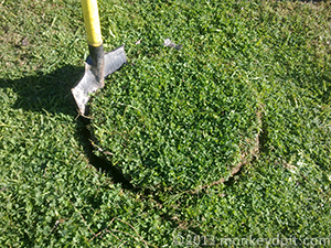 Cutting a grassy patch from garden