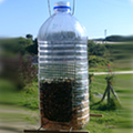 How To Make A Bird Feeder From A Plastic Bottle