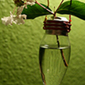 How To Make a Lightbulb Vase