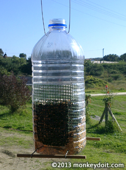 A bird feeder made from a plastic bottle and simple materials.